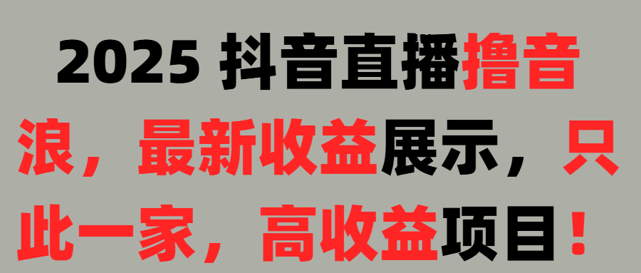 2025 抖音直播撸音浪,最新收益展示,只此一家,高收益项目!